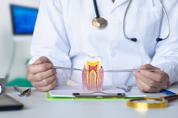 Best Emergency Tooth Extraction in Ash Flat, AR